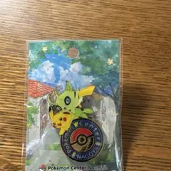 2026年最新】ポケモンセンター カナザワ ピンズの人気アイテム - メルカリ