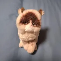 2025年最新】グランピーキャットの人気アイテム - メルカリ