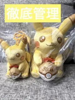 ポケモン 30周年記念 ピカピカ20時間以内発送 ぬいぐるみ マスコット　2点！
