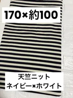 天竺ニット生地 ボーダー ネイビー×アイボリー 170×48