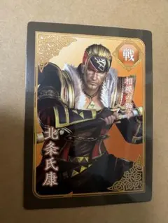 無双OROCHI3 Ultimate 英雄カード 李典 真・三國無双7 - メルカリ
