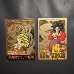 Dragon Ball GT Carddass 100 - メルカリ