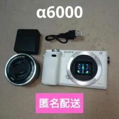 ☆希少カラー☆美品 SONY a6000 E 16-50mm＃392