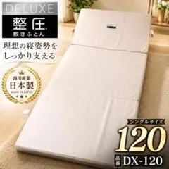 2026年最新】西川 整圧の人気アイテム - メルカリ