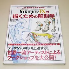 JDSF 技術認定アマルガメーション DVD - メルカリ