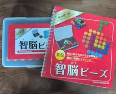 知脳ビーズ 知育玩具 パズルのサムネイル