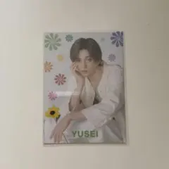 sunflower 八木勇征　フォトカ