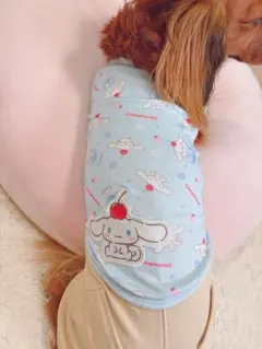 犬服 サンリオ シナモロール 夏服 スリーアローズ 3号のサムネイル