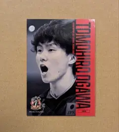 サイン 男子バレー バレーボール 龍神NIPPON 柳田将洋 高橋健太郎 トレカ 全日本男子バレーオフィシャルカード2015 「龍神NIPPON