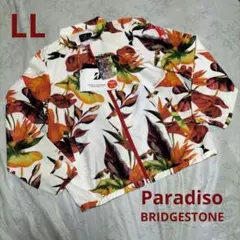 Item thumbnail for item 2c2bbba7-841a-49e3-b3a7-2f1fe58a3729