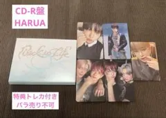 &TEAM Back to Life ミニCD-R盤　HARUA ハルア