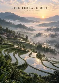 幻想的な棚田風景 2Lアートポスター RICE TERRACE MIST