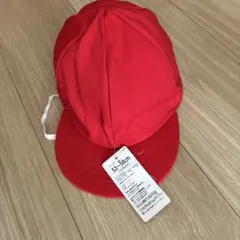 Item thumbnail for item 49e097d8-1f62-4ac5-9360-0a70b7b27d10