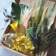プリザーブドフラワー　ドライフラワー　花材詰め合わせ⑧グリーン系
