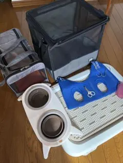 Item thumbnail for item 5ad4ab92-e604-438b-b1f3-3fa2f261d22a