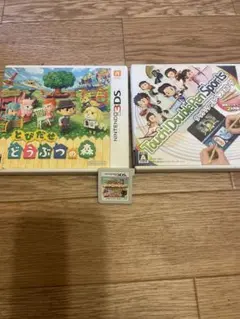 ニンテンドー3DS とびだせどうぶつの森　ハッピーホームデザイナー　おまけ付き