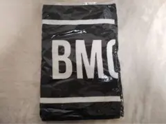 Item thumbnail for item 655baec9-ceb7-48a2-8fb1-0e13f9bf34b0