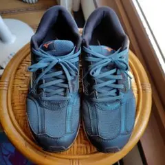 MIZUNO スニーカー 25，0cmのサムネイル