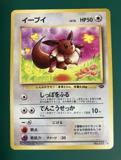 【旧裏】イーブイ ● 第2弾拡張パック ポケモンジャングル【希少】