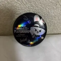 リービット　leebit 缶バッジ　プレイグラウンド　ホログラム