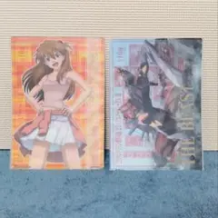 エヴァンゲリヲン ビジュアルアートワークス 破 2枚セット 2号機 アスカ