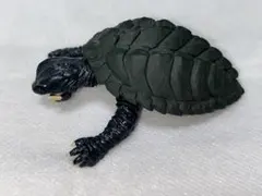 ガチャポンHGガメラシリーズ 「ガメラ飛行形態」