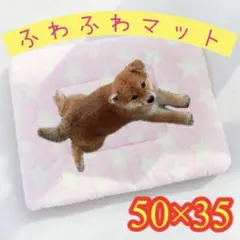 ペットマット ベッド　クッション ふわふわ　座布団　布団　犬猫 小動物　ピンク