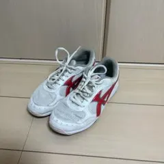 中学 体育館シューズ