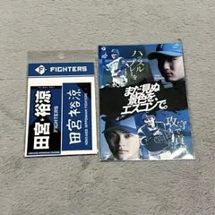 北海道日本ハムファイターズ 田宮裕涼 ステッカー