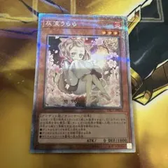 遊戯王 灰流うらら プリズマ 絵違い 3枚 まとめ売り 灰流うらら(プリズマティックシク/イラスト違い) | プリズマ