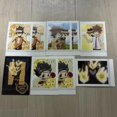 家庭教師ヒットマンREBORN! ぱしゃこれ 沢田綱吉 リボーン まとめ売り