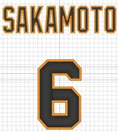 m様専用　巨人応援ワッペン　　背番号6