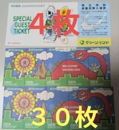 【９月】三井グリーンランド株主優待券入場券入園券４枚と乗り物券３０枚の１セットＱのサムネイル