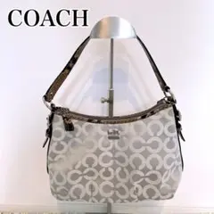 希少美品✨コーチCOACHワンショルダーバッグ ハーフムーン パイソン シルバー