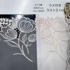 Item thumbnail for item cf8173db-9a4e-4aa9-be01-eb20ac0a45e2