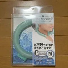 Item thumbnail for item 68d11d86-c378-484d-9408-c69859878e4a