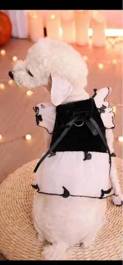 ワンちゃんワンピース