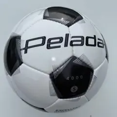 Item thumbnail for item 04ded7ae-8ea4-41a8-9ef0-e910d0a88f56