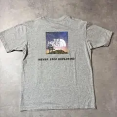 THE NORTH FACE グレー Tシャツ M