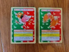 オニスズメ オニドリル カード トップサン 裏緑