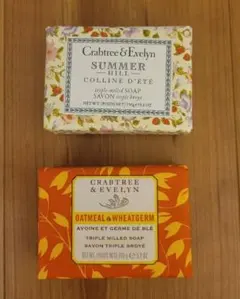 Item thumbnail for item b30a2042-8e7d-4832-b671-1aebd52af1df