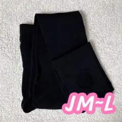 レディース 大きいサイズ 微起毛 タイツ レギンス トレンカ 裏ボアレギンス