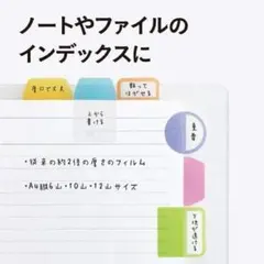 厚口 PET 付箋 フィルムインデックス A4 5色 10山