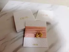 2026年最新】dior ブレスレット ノベルティの人気アイテム - メルカリ