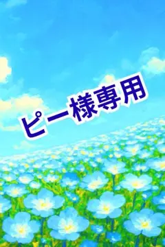 ピー様専用 ビーズ