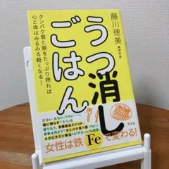 うつ消しごはん タンパク質と鉄をたっぷり摂れば心と体はみるみる軽くなる!