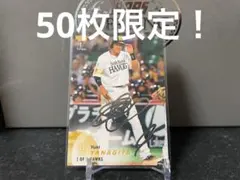 Item thumbnail for item 26cfb32c-d022-43bd-b98b-eec58e8a2c0b