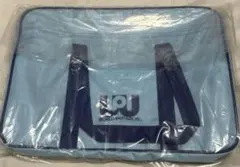 Item thumbnail for item 59caac28-78d9-4ae3-b8e7-e8a3ff404f35