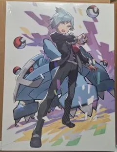 ポケモン キャンバス ウォール アート ダイゴ メタグロス ポケモン