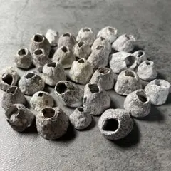 #フジツボ　　黒系Ｂ　高さ約2センチ以内